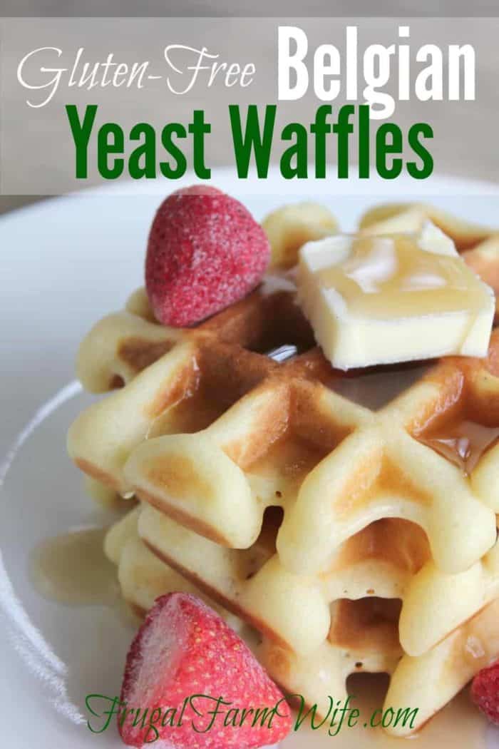 Belgian Waffle Recipe With Club Soda