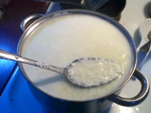 curdled milk stage of cheesemaking