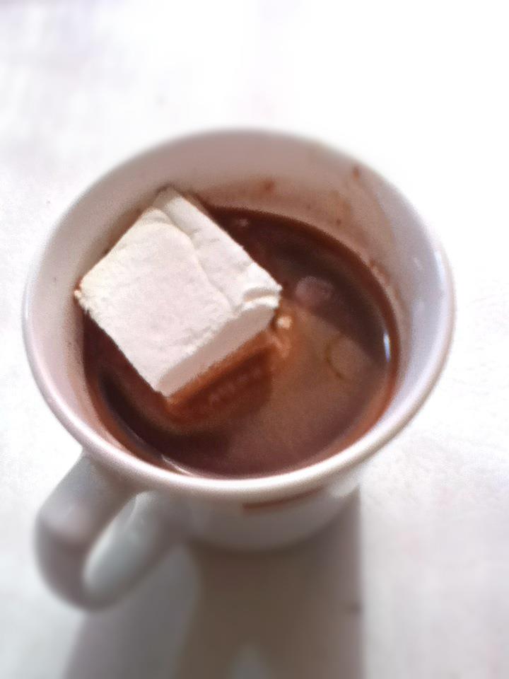 Image, taken from above, shows a white mug with homemade hot chocolate in it, with a large white marshmallow. 