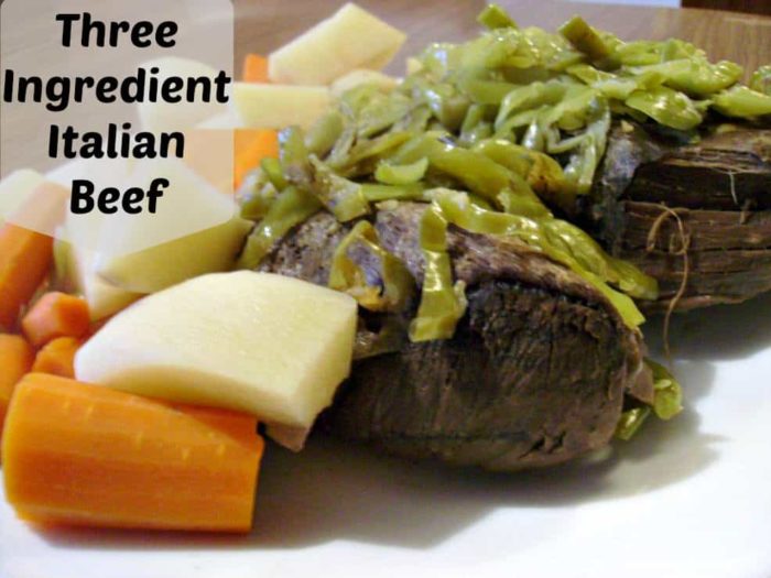 Image shows some beef, carrots and onion with text that reads "Three Ingredient Italian Beef"