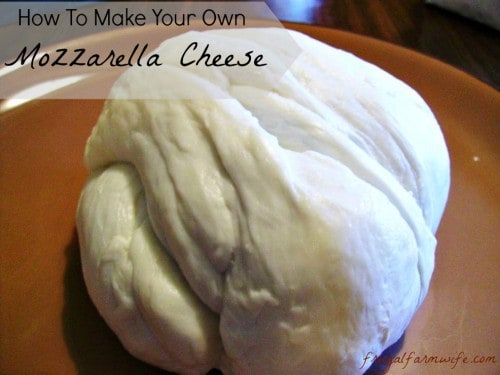 Mozzarella Making, A Cheesy Tutorial
