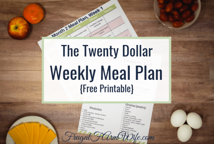 You CAN eat for $20 a week, and here's the meal plan to prove it!