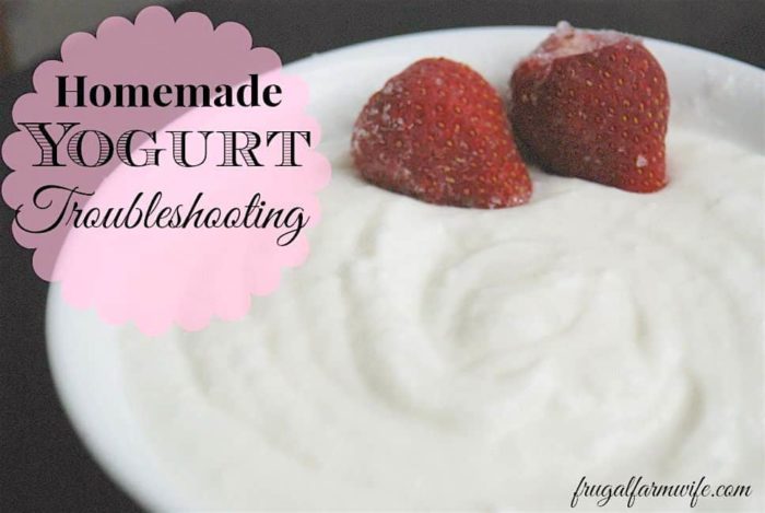 Image shows a bowl of homemade yogurt with two strawberries and text that reads "Homemade Yogurt Troubleshooting"