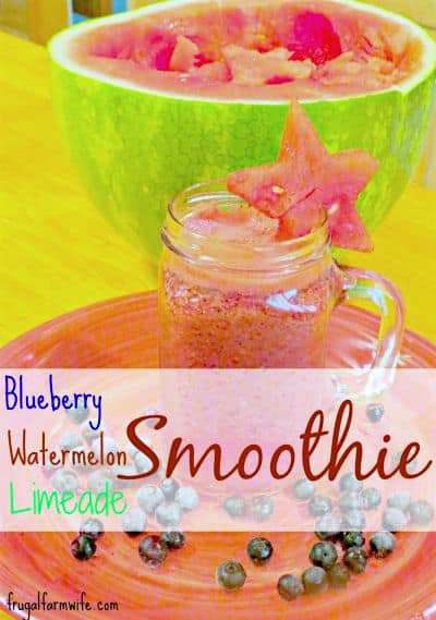 Image shows a mug with a blender drink in front of a watermelon, with a watermelon star on the rim. Text overlay reads "Blueberry Watermelon Limeade Smoothie"