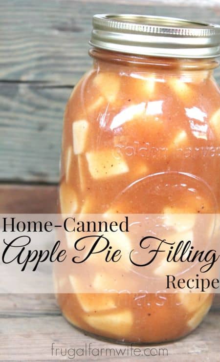 Homemade Apple Pie Filling Recipe - For Canning! | The ...