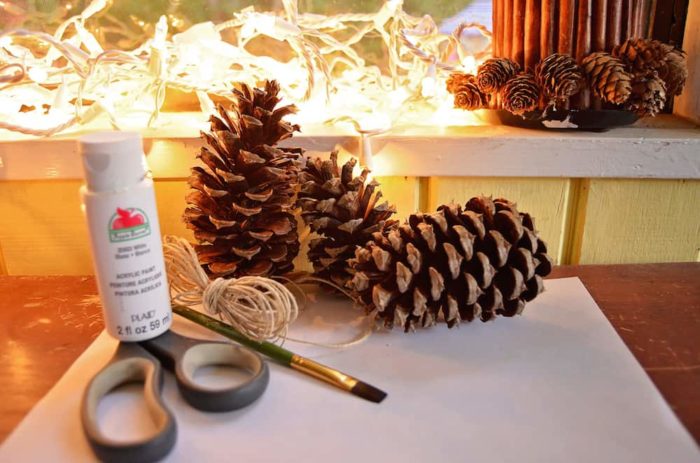 Image shows supplies for a pine cone craft- scissors, paint, paintbrush, string and pine cones