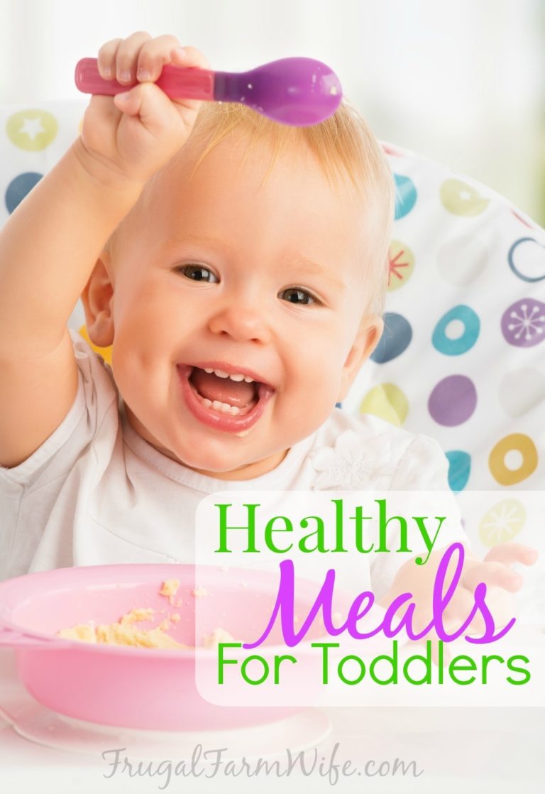 Healthy Meals For Toddlers