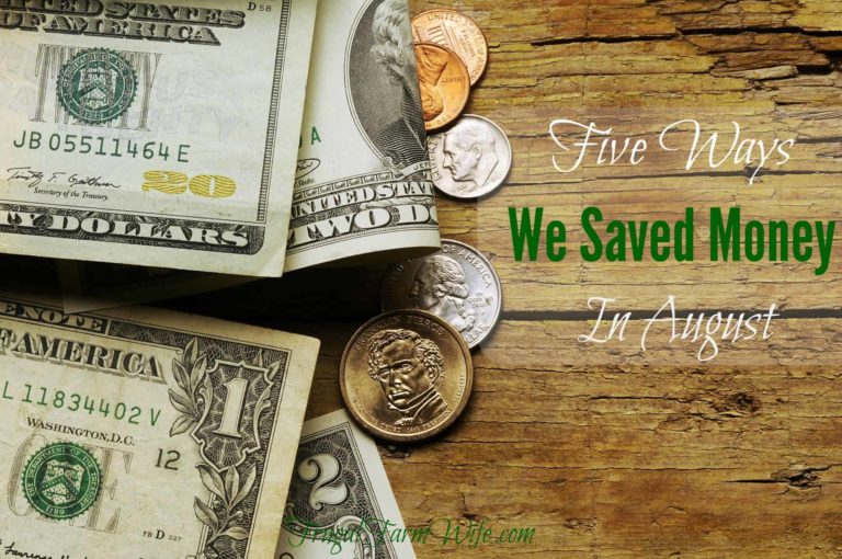 Five Ways We Saved Money In August