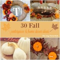 fall home decor and centerpieces diy projects
