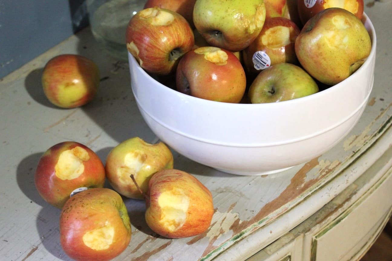 Image shows a large white bowl of apples on a weathered dresser. Several apples sit on the dresser next to the bowl. Each apple has one small bite taken from it. 