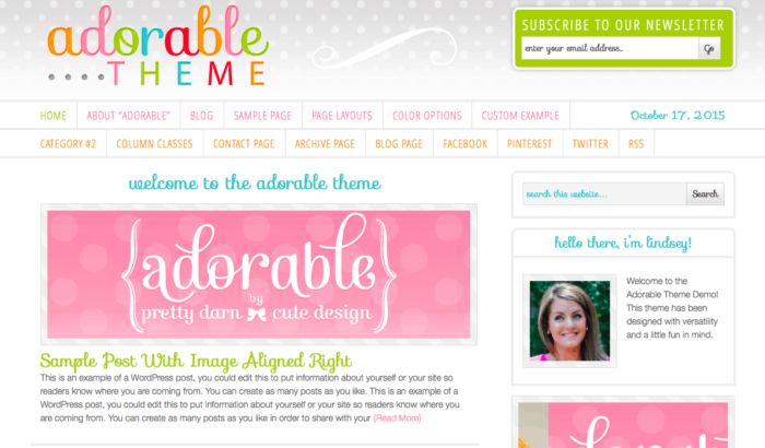 Image shows a screenshare of an "adorable theme" blog theme