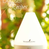 These Fall diffuser blends will make your house smell amazing!