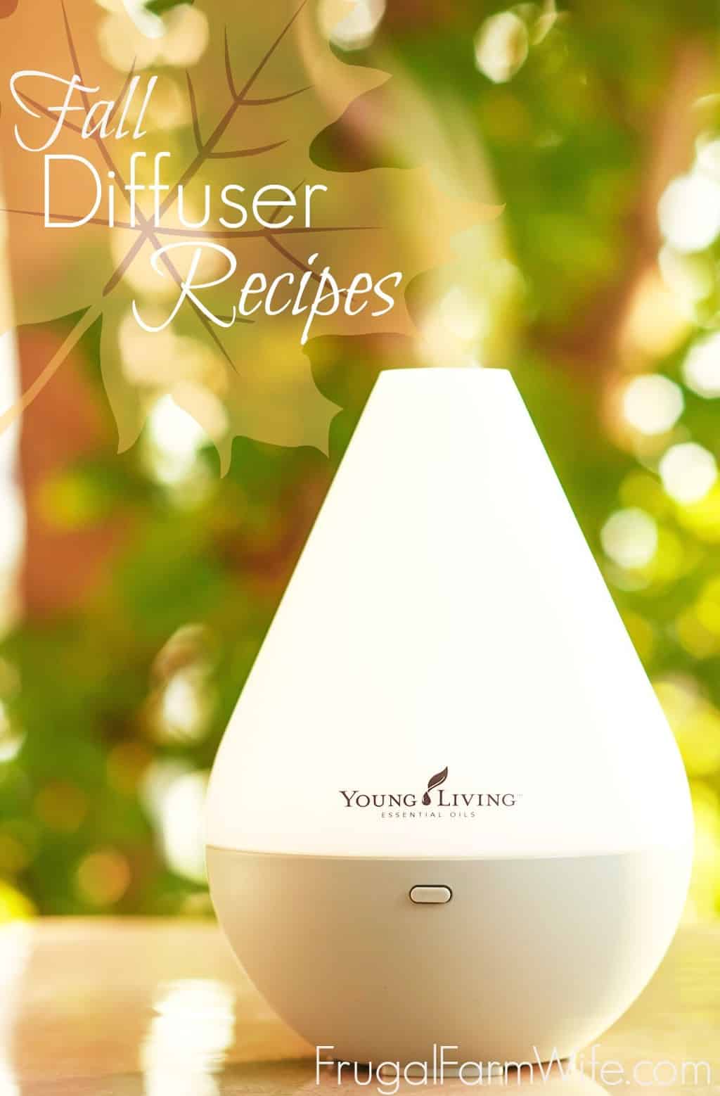 These Fall diffuser blends will make your house smell amazing!