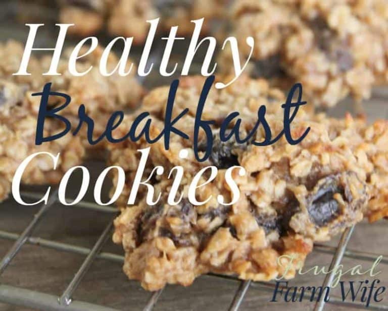 Healthy Breakfast Cookies