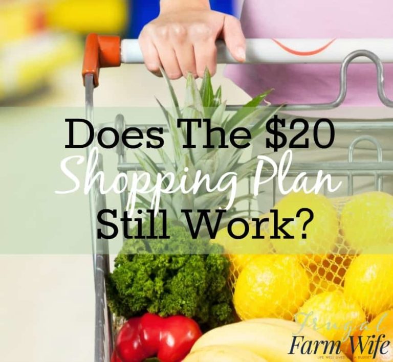 Does the $20 Shopping Plan Still Work?