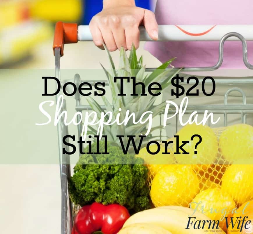 Image shows a woman pushing a metal shopping art full of produce with text that reads "Does the $20 Shopping Plan Still Work?"