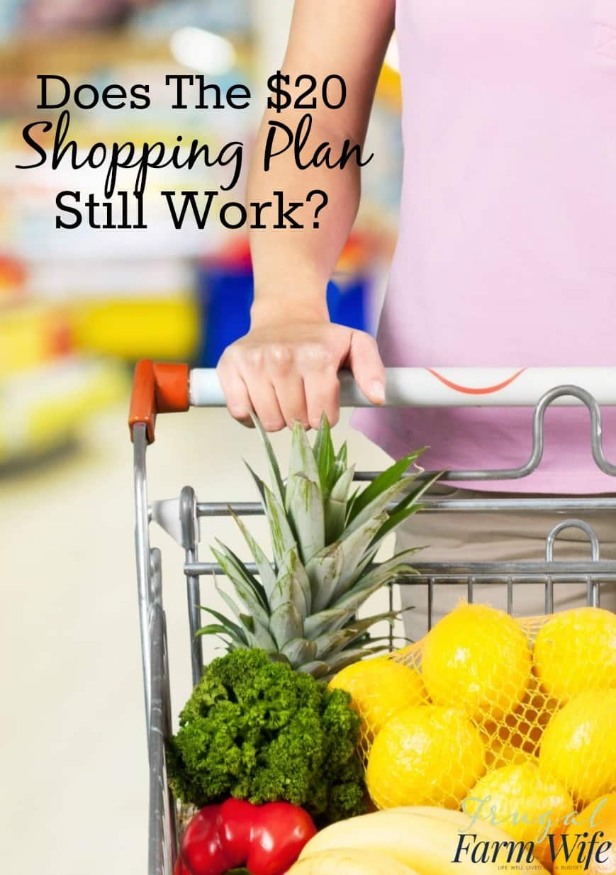 Image shows an arm pushing a shopping cart, with broccoli, pineapple, lemons and red pepper in it. Text above reads "Does the $20 plan still work?