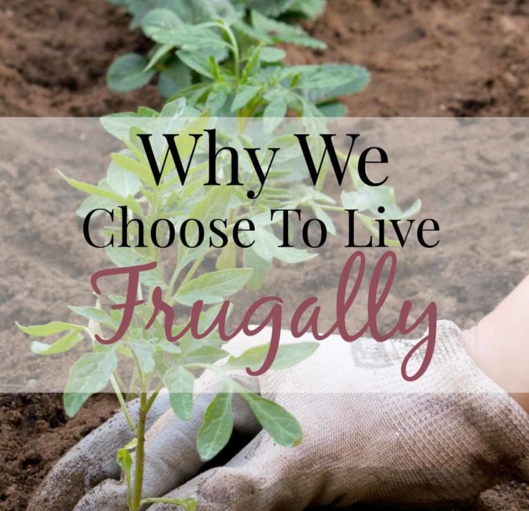 Why We Choose To Live Frugally