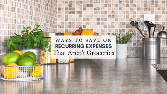 Ways To Save Money On Recurring Expenses (that aren’t groceries)