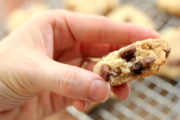 Image shows a woman's hand holding a cookie with a bite taken out of it
