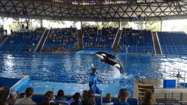 The One Where I Took The Kids To Seaworld and Forgot My Phone Charger (Weekend Wrap-up)