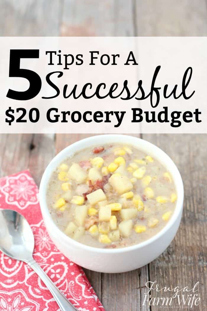Image shows a photo of a bowl of soup with text that reads "5 Tips for a Successful $20 Grocery Budget"