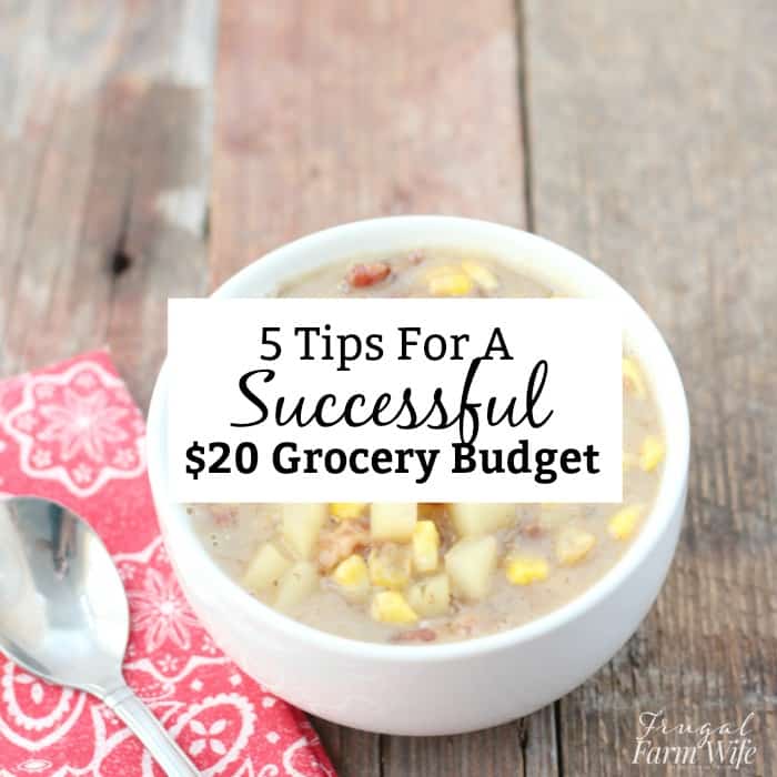 tips for a successful $20 budget
