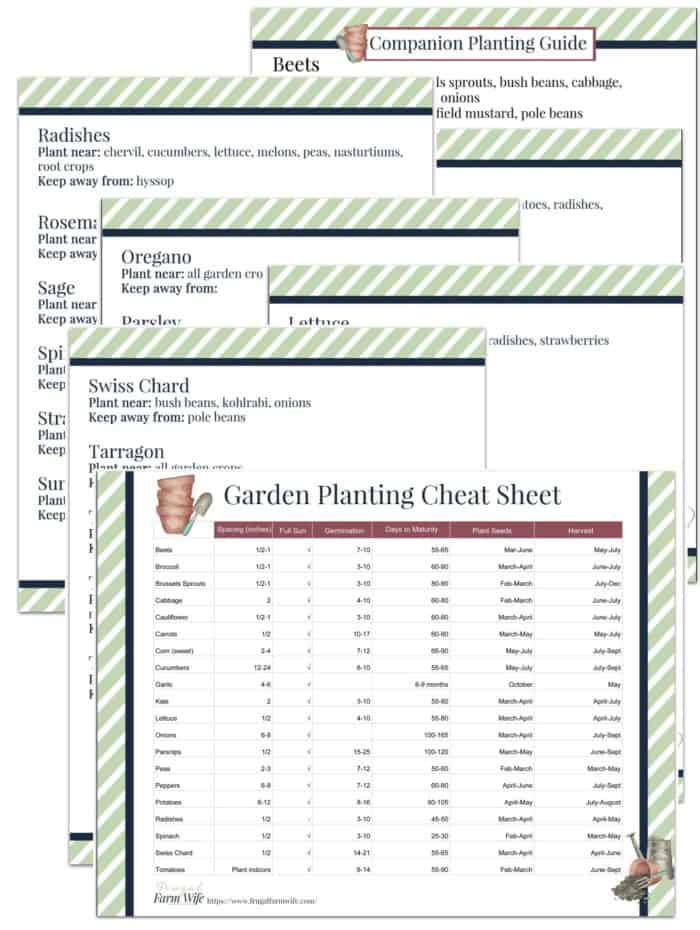 Image shows downloadable spring planting guide sheets