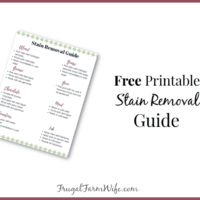 printable laundry stain removal guide