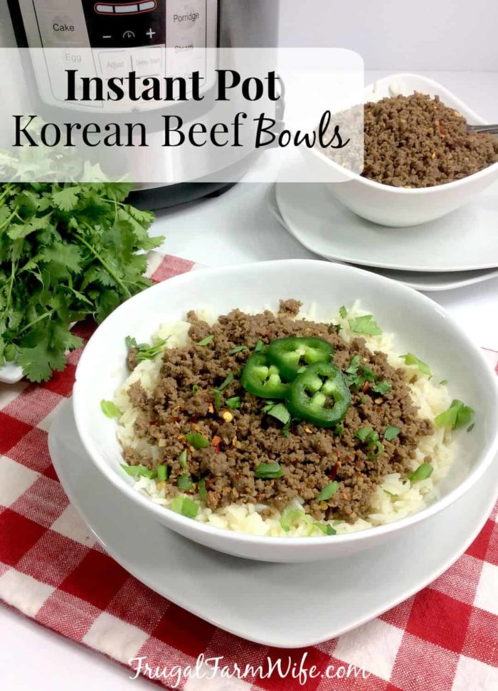 Instant Pot Korean Beef Bowls are a MUST for busy moms recipe repertoires! 