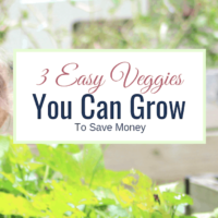 easy veggies you can grow that will save money to boot!
