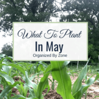 what to plant in may divided by zones