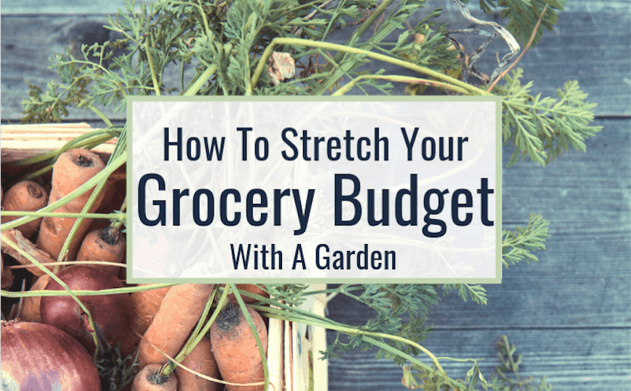 stretch your grocery budget with a garden