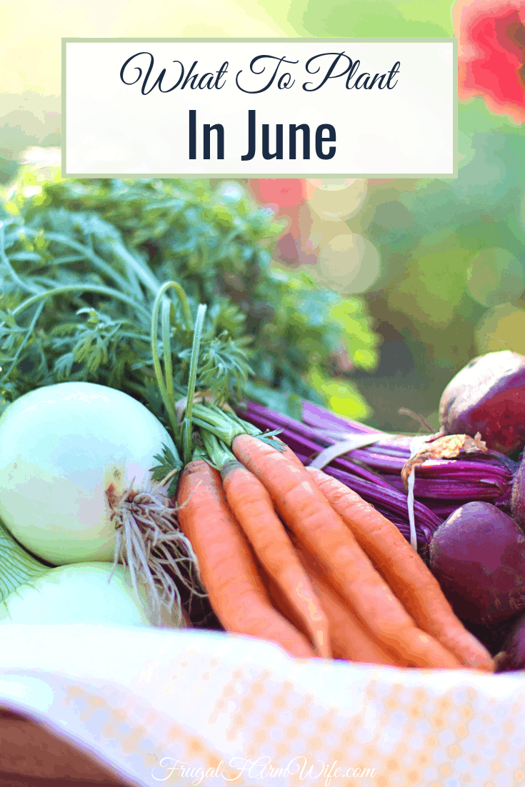 Vegetables To Plant In June The Frugal Farm Wife