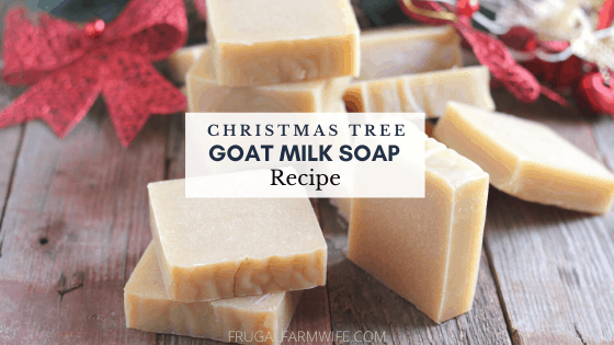 Goat milk soap that smells like Christmas