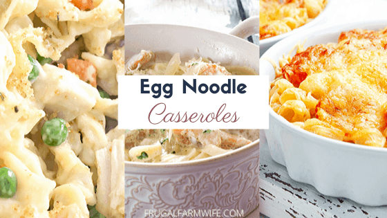 egg noodle casseroles that are easy to make