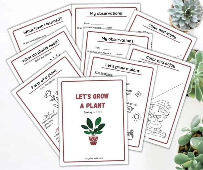 Image shows several printables about growing plants for kids