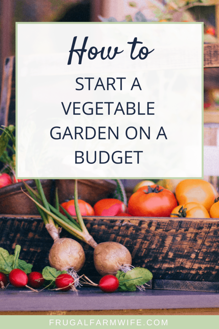 Image shows a basket of vegetables with text that reads "how to start a vegetable garden on a budget"