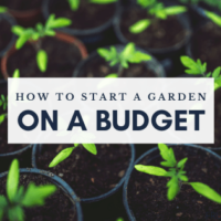 Tips for starting a garden on a budget