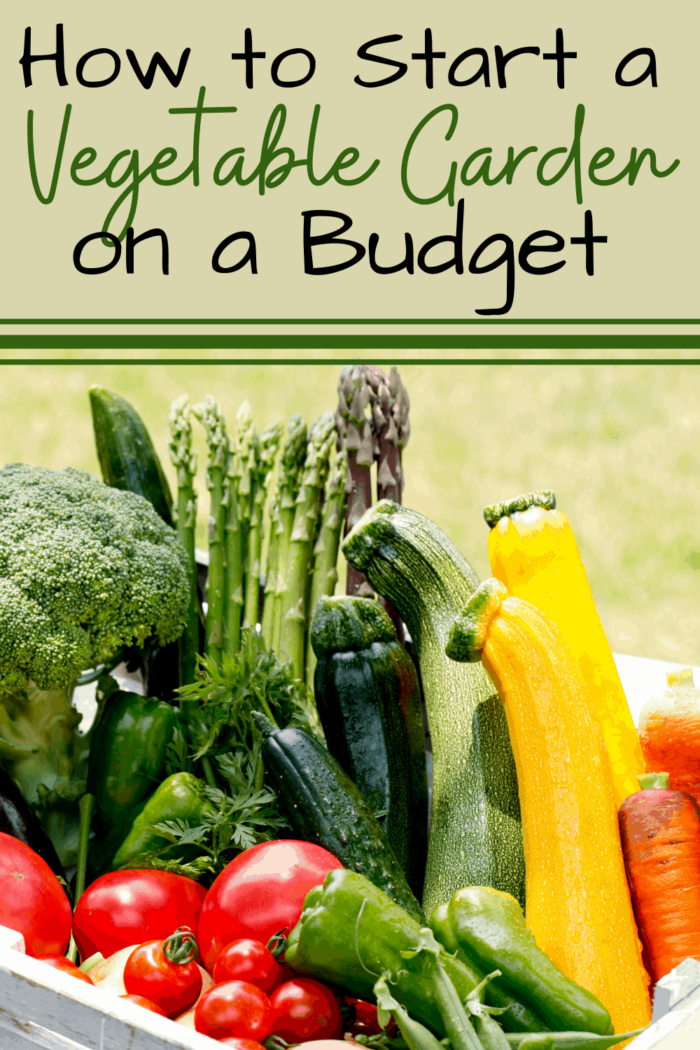 Image shows a variety of garden vegetables with text that reads "How to start a garden on a budget"