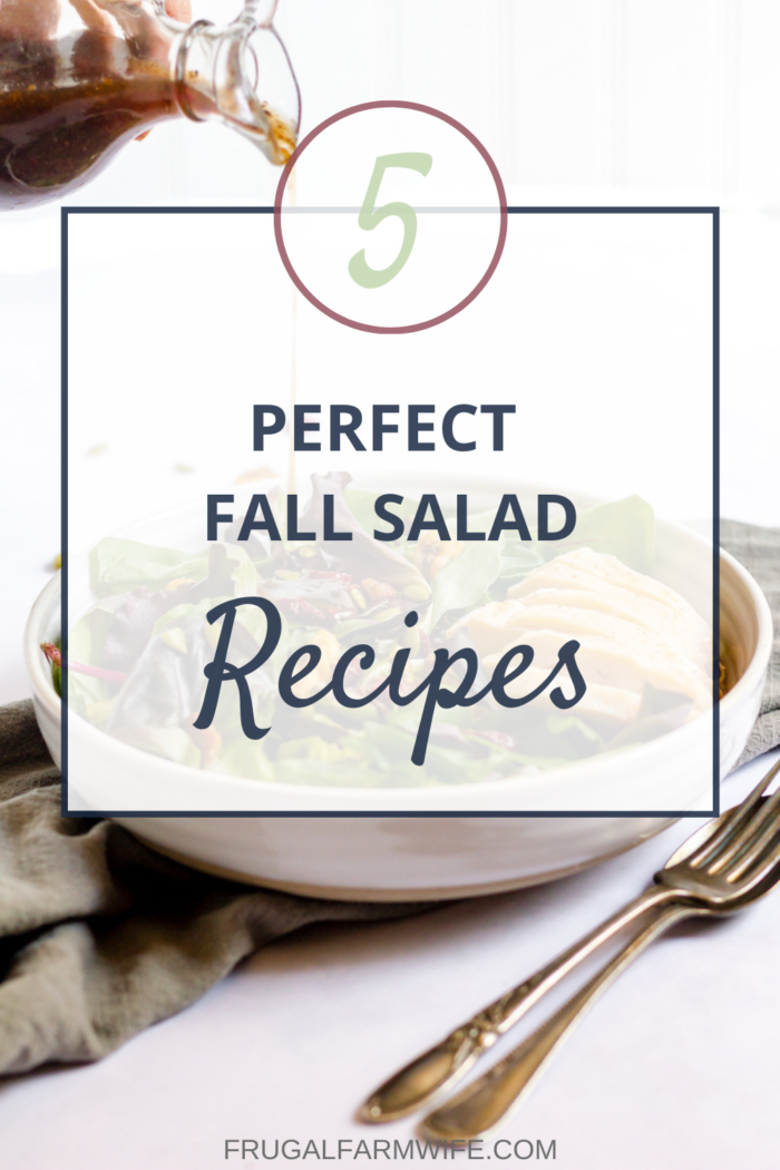 Image shows a photo with a bowl of salad and dressing, with text that reads "5 Perfect Fall Salad Recipes"