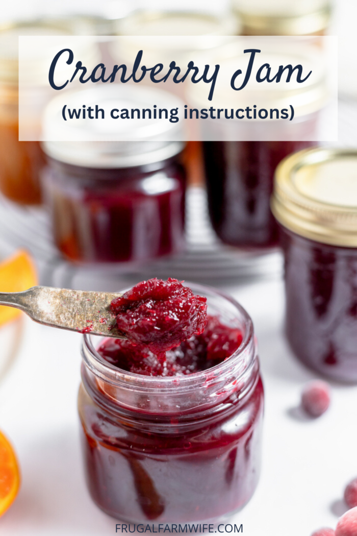 cranberry jam recipe with canning instructions