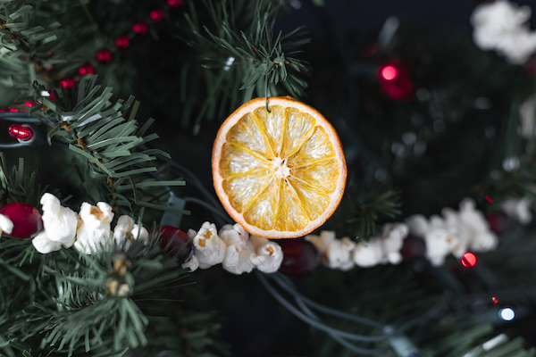 Dried Orange Slice Ornaments - The Frugal Farm Wife