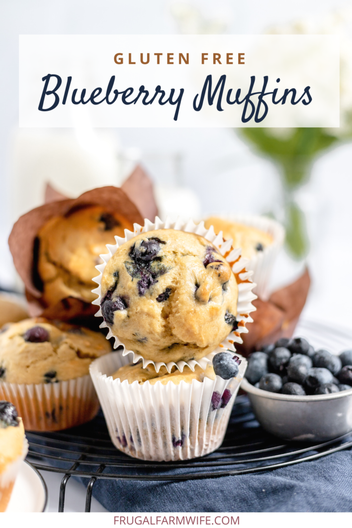 gluten free blueberry muffins - so easy and delicous!