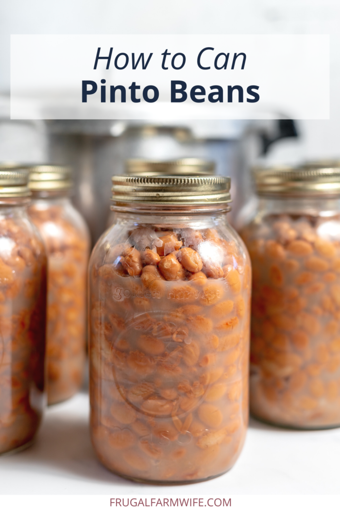 canning pinto beans using a pressure canner